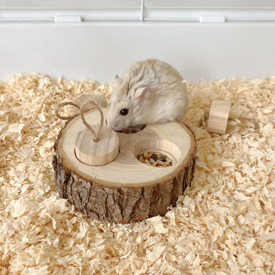 Wooden pet foraging snack box with three colorful pegs (blue, red, green) and green string 'stems' for rabbits and guinea pigs. - Image 9