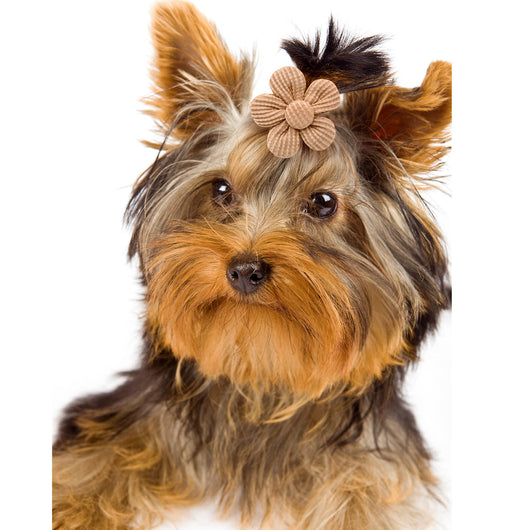Diadema Floral para Mascotas - Accesorios Elegantes para Perros y Gatos - Image 4