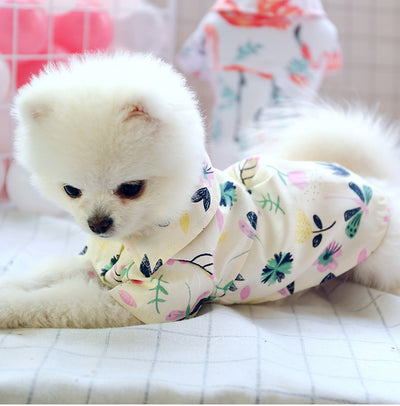 Playera Fresca para Perro Pequeño - Diseño Osito Delgado Verano - Image 11