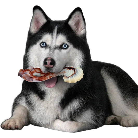 Juguete Resistente de Nylon para Perros - Diversión Duradera - Image 19