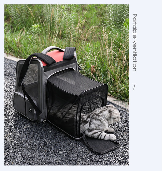 Mochila Transportadora Expandible para Mascotas - Gran Capacidad - Image 22