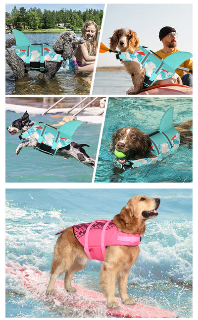 Chaleco Salvavidas para Perros Shark - Ropa de Baño Segura - Image 12