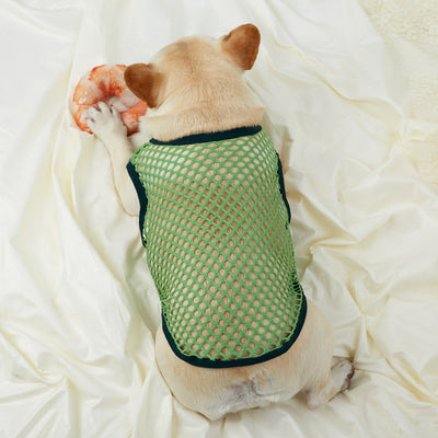 Chaleco de Malla Transpirable para Perros - Image 4