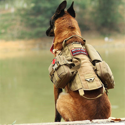 Arnés Táctico Militar para Perros con Sistema Molle Ajustable - Image 15