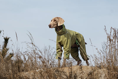 Abrigo Impermeable para Perros Grandes con Cuello Alto y Protección Térmica - Image 18