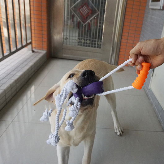 Juguete de Cuerda de Cáñamo Resistente a Mordidas con Pelota Masajeadora para Cachorros - Image 3