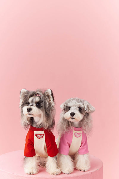Ropa de Verano para Perros con Contraste de Colores - Image 29