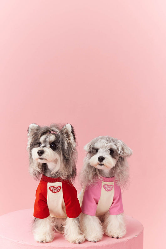 Ropa de Verano para Perros con Contraste de Colores - Image 29