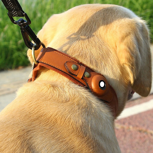 Collar de Cuero Premium con Rastreador GPS para Mascotas