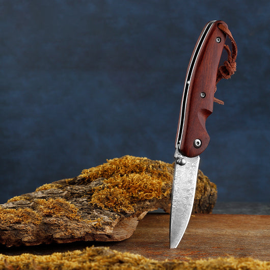 Cuchillo de Bolsillo Compacto para Aventuras al Aire Libre - Image 19