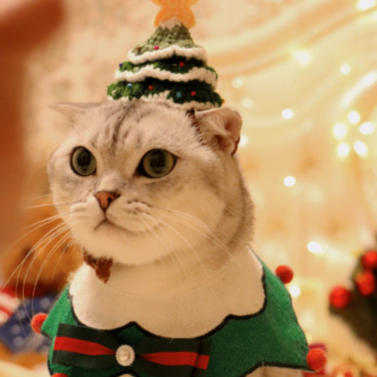 Árbol de Navidad Pequeño con Gorro y Gato Mascota - Image 10