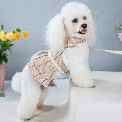 Arnés de Pecho con Cuerda de Sujeción para Mascotas - Image 2