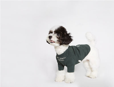 Playera para Mascotas con Estampado de Letras Wind - Diseño Simple y Cómodo - Image 6