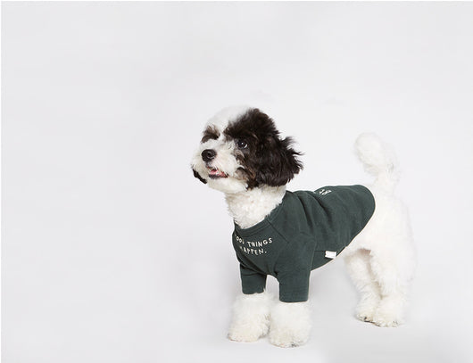 Playera para Mascotas con Estampado de Letras Wind - Diseño Simple y Cómodo - Image 6