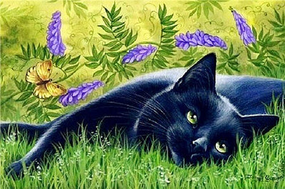 Pintura de Diamantes Gato - Bordado de Cristales Brillantes - Image 13