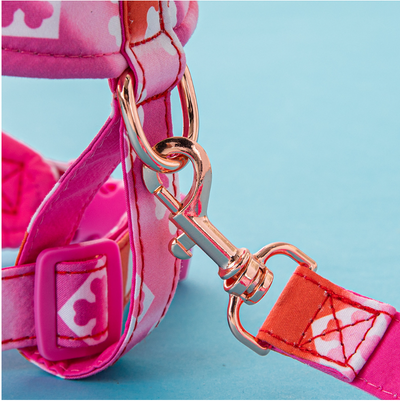 Arnés de Moda para Perro con Cuerda de Tracción Premium - Image 4