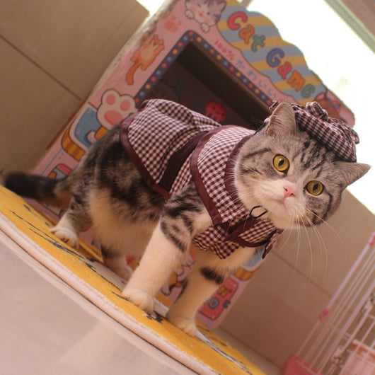Disfraz de Detective para Mascotas - Capa, Sombrero y Traje Divertido para Gatos y Perros