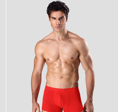 Calzoncillos Bóxer de Modal para Hombre - Ligeros y Transpirables para Verano - Image 10