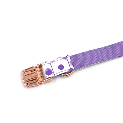 Collar para Mascotas INS Wind Púrpura con Lunares - Image 12