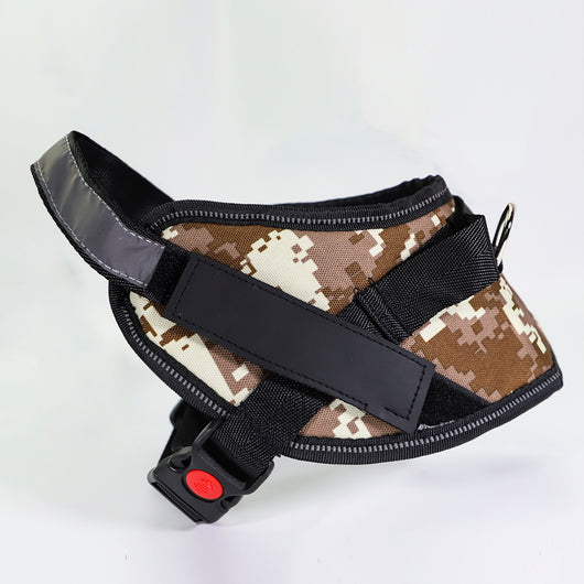 Cadena de Amarre Resistente para Perros - Correa de Seguridad Premium - Image 22