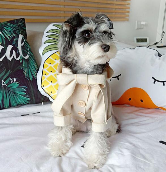 Ropa Abrigadora para Mascotas Pequeñas - Abrigo Teddy para Perros y Gatos Otoño Invierno