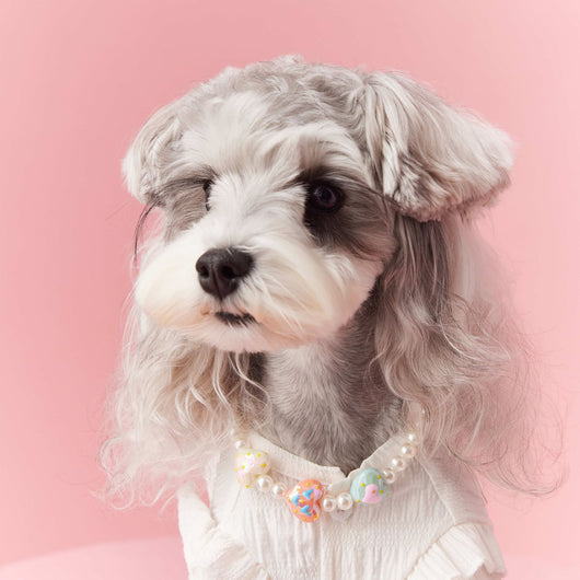 Adornos de Cuentas para Mascotas - Accesorios Decorativos Cóncavos para Perros - Image 4