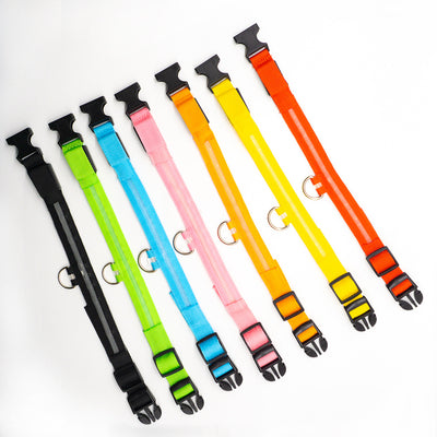Collar LED Recargable para Mascotas - Image 11