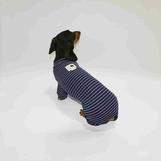 Ropa a Rayas para Perros y Gatos - Diseño Elegante y Cómodo - Image 10