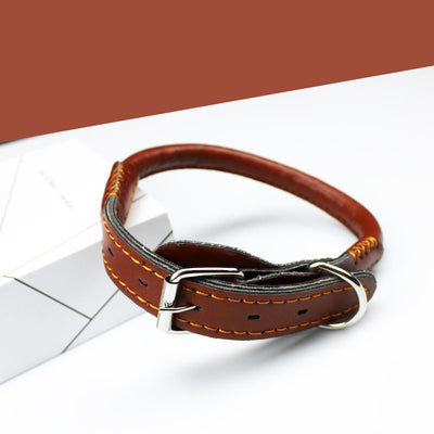 Collar de Cuero Premium con Cuerda para Perros Golden Retriever y Husky Tamaño Mediano-Grande - Image 15