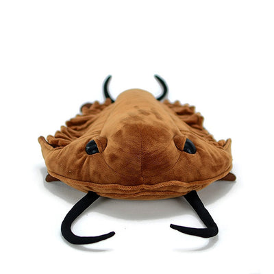 Juguete de Peluche Trilobite - Colección Paleontología Realista - Image 3