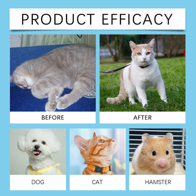 Gotas Inmunológicas Premium para Perros y Gatos - Suplemento Nutricional Reforzado - Image 19