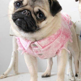 Chaqueta de Mezclilla Lavada para Perros - Ropa Cómoda y Elegante - Image 6