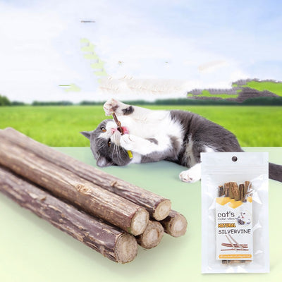 Rodillo Molar Dental para Gatos - Limpieza de Dientes