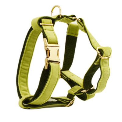 Collar para Perro de Terciopelo Suave - Image 6