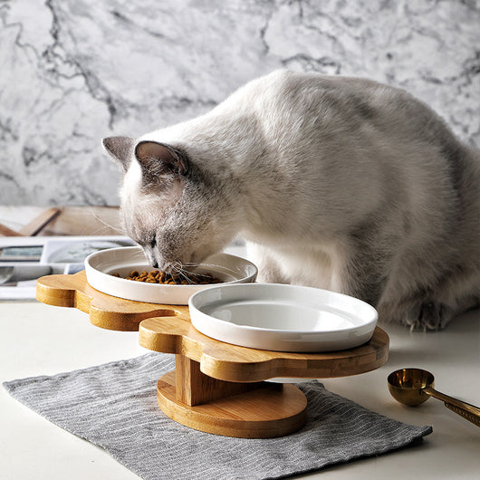 Comedero de Cerámica para Gatos - Image 2