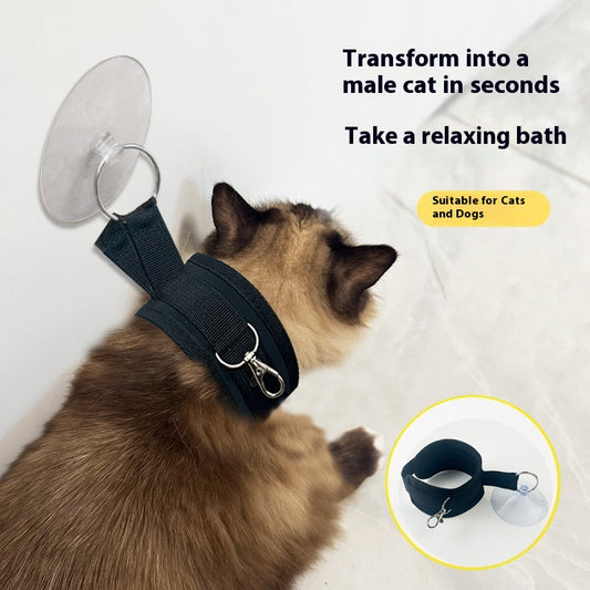 Kit Completo de Baño y Aseo para Mascotas - Soporte Antiarañazos con Accesorios de Limpieza - Image 2