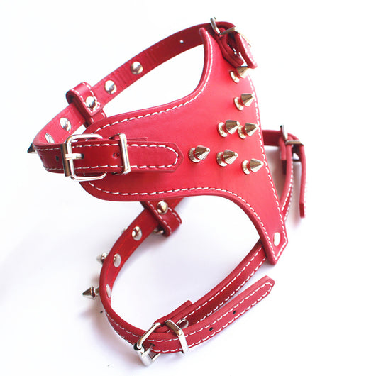 Arnés de Cuero con Tachuelas para Perros Pequeños - Chaleco Protector Negro - Image 13
