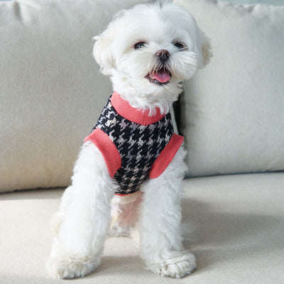 Chaleco para Perros Otoño Invierno Cuello en V Estilo Japonés y Coreano