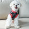 Chaleco para Perros Otoño Invierno Cuello en V Estilo Japonés y Coreano