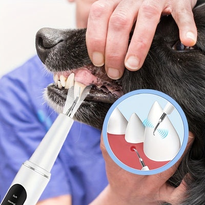 Limpiador Ultrasónico de Dientes para Mascotas - Kit Completo con 2 Cabezales - Image 10