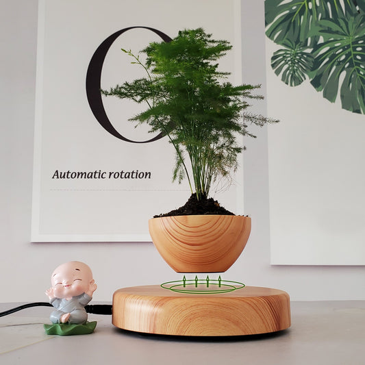 Maceta Flotante Magnética - Adorno Decorativo Moderno para Escritorio