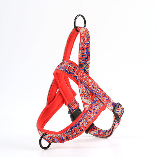 Arnés para Perro con Correa de Mano y Pechera de Soporte - Image 7