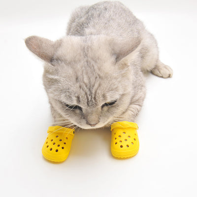 Zapatos de Verano para Perros con Estilo Personalizado - Image 12