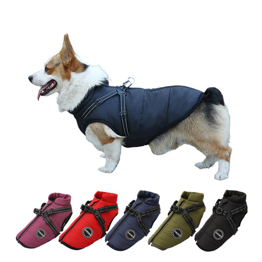 Ropa Térmica Multicolor para Mascotas - Abrigo Personalizado - Image 4