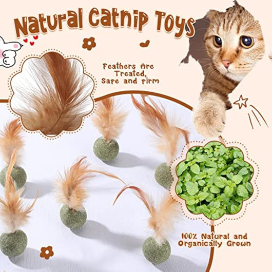 Juguete Interactivo para Gatos con Catnip Natural y Plumas - Image 14