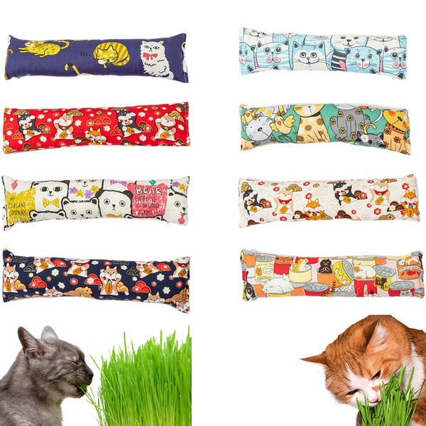 Almohada de Catnip Interactiva - Juguete Mordedor y Rascador para Gatos