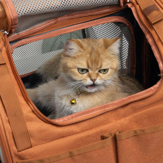 Mochila Transportadora Expandible para Gatos - Ligera y Respirable - Image 14