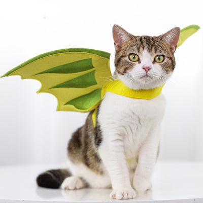 Alas de Dinosaurio para Mascotas - Disfraz Halloween - Image 2