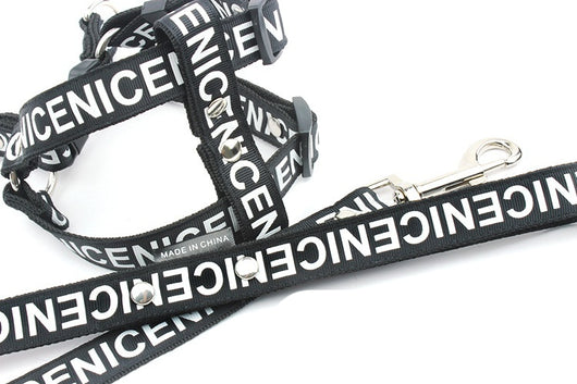 Collar de Tracción para Perros en Poliéster PET Resistente - Image 10