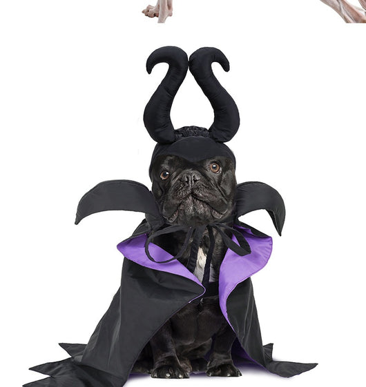 Capa y Sombrero de Halloween para Perros - Disfraz Festivo para Mascotas - Image 15